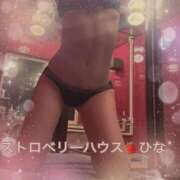 ひな いるよ コレクション