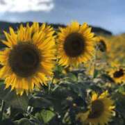 ヒメ日記 2025/01/05 19:47 投稿 あむ 大宮逆マッサージ