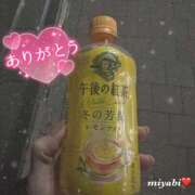 ヒメ日記 2024/12/29 12:59 投稿 みやび 横浜シンデレラ（シンデレラグループ）