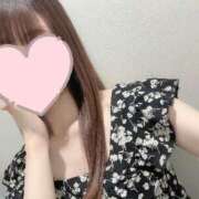 ヒメ日記 2025/08/16 18:31 投稿 ナナ エピソード(品川)