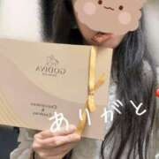 ヒメ日記 2025/11/08 16:10 投稿 ふゆみ 無我（むが）