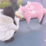 ヒメ日記 2025/04/28 10:11 投稿 れあ 極楽城(ゴクラクジョウ)