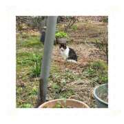 ヒメ日記 2025/01/13 09:17 投稿 柏木　あずさ 東京ローズマリー