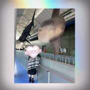 ヒメ日記 2025/01/15 09:57 投稿 柏木　あずさ 東京ローズマリー