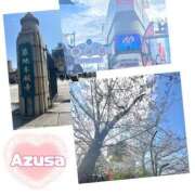 ヒメ日記 2025/04/09 10:57 投稿 柏木　あずさ 東京ローズマリー