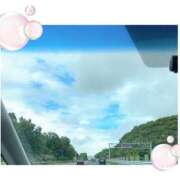 ヒメ日記 2025/06/17 10:07 投稿 柏木　あずさ 東京ローズマリー