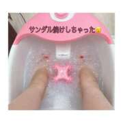 ヒメ日記 2025/07/16 10:07 投稿 柏木　あずさ 東京ローズマリー