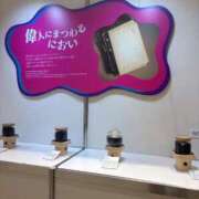 ヒメ日記 2026/02/02 11:27 投稿 柏木　あずさ 東京ローズマリー