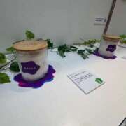 ヒメ日記 2026/02/02 14:17 投稿 柏木　あずさ 東京ローズマリー