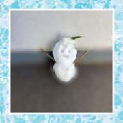 ヒメ日記 2026/02/10 15:37 投稿 柏木　あずさ 東京ローズマリー