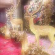 柏木 Merry Xmas🌲✨ ローズマリー大塚