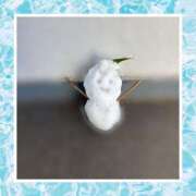 ヒメ日記 2026/02/10 15:44 投稿 柏木 ローズマリー大塚