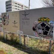 ヒメ日記 2026/03/10 09:54 投稿 柏木 ローズマリー大塚