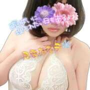 ヒメ日記 2025/06/01 17:31 投稿 見雪 なな子 30代40代50代と遊ぶなら博多人妻専科24時