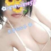 ヒメ日記 2025/08/01 22:44 投稿 見雪 なな子 30代40代50代と遊ぶなら博多人妻専科24時