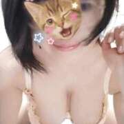 ヒメ日記 2025/09/17 22:30 投稿 見雪 なな子 30代40代50代と遊ぶなら博多人妻専科24時