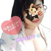 ヒメ日記 2025/10/31 23:15 投稿 見雪 なな子 30代40代50代と遊ぶなら博多人妻専科24時