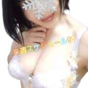 ヒメ日記 2025/12/04 12:16 投稿 見雪 なな子 30代40代50代と遊ぶなら博多人妻専科24時