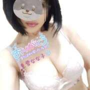 ヒメ日記 2025/12/19 22:05 投稿 見雪 なな子 30代40代50代と遊ぶなら博多人妻専科24時