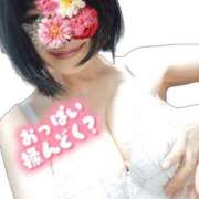 ヒメ日記 2026/01/19 12:18 投稿 見雪 なな子 30代40代50代と遊ぶなら博多人妻専科24時