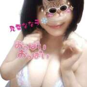 ヒメ日記 2026/04/07 12:47 投稿 見雪 なな子 30代40代50代と遊ぶなら博多人妻専科24時