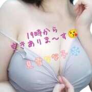 ヒメ日記 2026/09/20 15:05 投稿 見雪 なな子 30代40代50代と遊ぶなら博多人妻専科24時