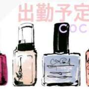 ヒメ日記 2025/02/11 21:05 投稿 織戸心愛(おりとここあ) 九州熟女　八代店