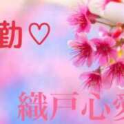 ヒメ日記 2025/03/08 09:15 投稿 織戸心愛(おりとここあ) 九州熟女　八代店