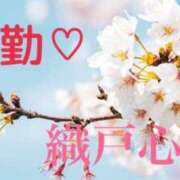 ヒメ日記 2025/03/26 09:25 投稿 織戸心愛(おりとここあ) 九州熟女　八代店