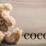 ヒメ日記 2025/03/26 20:05 投稿 織戸心愛(おりとここあ) 九州熟女　八代店