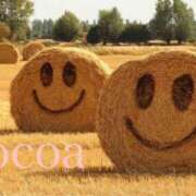 ヒメ日記 2025/04/05 09:05 投稿 織戸心愛(おりとここあ) 九州熟女　八代店