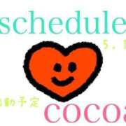 ヒメ日記 2025/05/05 23:25 投稿 織戸心愛(おりとここあ) 九州熟女　八代店