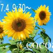 ヒメ日記 2025/06/27 21:05 投稿 織戸心愛(おりとここあ) 九州熟女　八代店