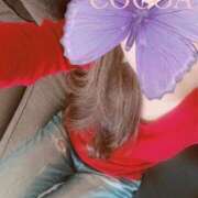 ヒメ日記 2025/09/03 19:45 投稿 織戸心愛(おりとここあ) 九州熟女　八代店