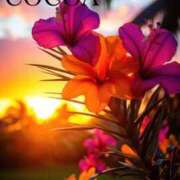 ヒメ日記 2025/09/16 17:35 投稿 織戸心愛(おりとここあ) 九州熟女　八代店