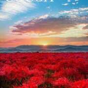 ヒメ日記 2025/10/08 19:55 投稿 織戸心愛(おりとここあ) 九州熟女　八代店