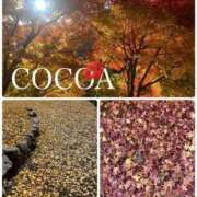 ヒメ日記 2025/11/29 18:55 投稿 織戸心愛(おりとここあ) 九州熟女　八代店