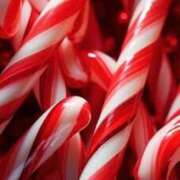 ヒメ日記 2025/12/23 09:15 投稿 織戸心愛(おりとここあ) 九州熟女　八代店