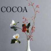 ヒメ日記 2025/12/31 08:05 投稿 織戸心愛(おりとここあ) 九州熟女　八代店