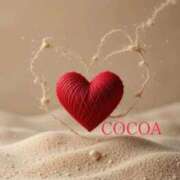 ヒメ日記 2026/01/23 09:05 投稿 織戸心愛(おりとここあ) 九州熟女　八代店