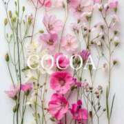 ヒメ日記 2026/02/07 08:55 投稿 織戸心愛(おりとここあ) 九州熟女　八代店