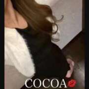 ヒメ日記 2026/02/28 00:05 投稿 織戸心愛(おりとここあ) 九州熟女　八代店