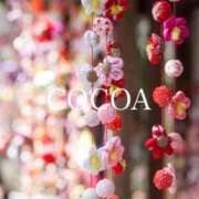 ヒメ日記 2026/03/03 09:15 投稿 織戸心愛(おりとここあ) 九州熟女　八代店