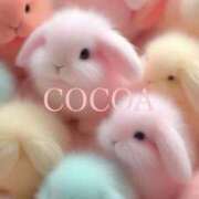 ヒメ日記 2026/03/05 09:21 投稿 織戸心愛(おりとここあ) 九州熟女　八代店