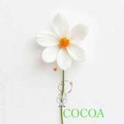 ヒメ日記 2026/03/16 09:25 投稿 織戸心愛(おりとここあ) 九州熟女　八代店