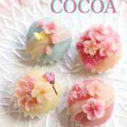 ヒメ日記 2026/04/01 09:15 投稿 織戸心愛(おりとここあ) 九州熟女　八代店