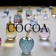 ヒメ日記 2026/04/08 09:15 投稿 織戸心愛(おりとここあ) 九州熟女　八代店