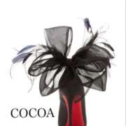 ヒメ日記 2026/04/23 22:05 投稿 織戸心愛(おりとここあ) 九州熟女　八代店