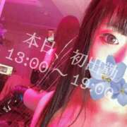 ヒメ日記 2024/12/29 06:34 投稿 桜庭なつめ＠萌えよM性感 アナラードライ