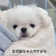 カナメ 🎀お願い🎀 ロボットデリヘル川越基地